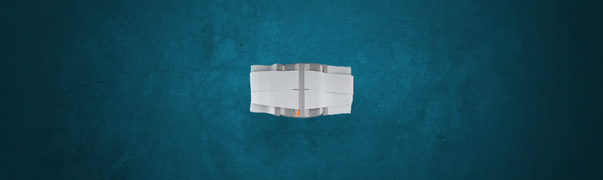 دعامات الظهر