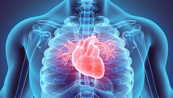 أمراض القلب